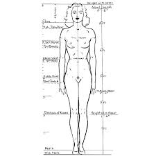Andrew loomis / fun with a pencil 1942. Andrew Loomis Ideal Figures Nudity Off Topic Chat Blender Artists Community