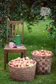 Autumn Vintage Home Apple Harvest Apple Farm Harvest