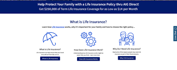 When getting a quote, you choose a term length, a payout amount, and a beneficiary. Best Life Insurance Based On In Depth Reviews Consumersadvocate Org