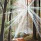 Walk in the Wilderness Painting event image