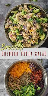 Broccoli Cheddar Pasta Salad W Cranberries Bacon Recipe Best Pasta Recipes Dinner Recipes Healthy Family Vegetarian Pasta Salad