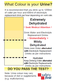 66 Matter Of Fact Urine Colour Chart Australia