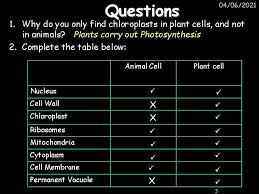 Igcse Coordinated Sciences Module Resource Cells 1 Plant