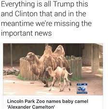 Us president donald trump, who is no stranger to sharing cryptic tweets and memes, first tweeted a sentence and then a meme of himself. 58 The Sup Ideas Bored Af Betch Dumb And Dumber