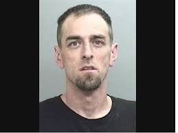 Mendocino Sheriff Booking Log (2024)