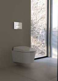 Jamais utilisé encore emballé ( a venir chercher sur place pas d'envoi). 30 Bathroom And Bathroom Rendering Ideas Bathroom Design Bidet