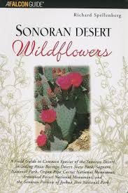 Maybe you would like to learn more about one of these? Sonoran Desert Wildflowers A Field Guide To The Common Wildflowers Of The Sonoran Desert Including Anza Borrego Desert State Park Saguaro National Joshua Tree National Park Wildflower Series Spellenberg Dr Richard 9780762711369