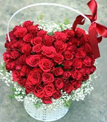 [Hình: images?q=tbn:ANd9GcTKUVVTqrTMJaiEYGPRD3h...U&usqp=CAU]