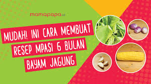 Shandy aulia menyebut laura aprilia sebagai netizen 'pintar'. Mudah Ini Cara Mudah Membuat Resep Mpasi Bayi 6 Bulan Bayam Jagung Mamapapa Id