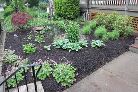 Planted with grasses and flowering perennials, rain gardens can be a cost effective and beautiful way to reduce runoff from your property. Rain Gardens Growing Ambler Greener