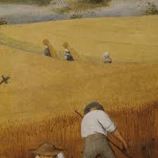 The Harvesters by Pieter Bruegel the Elder