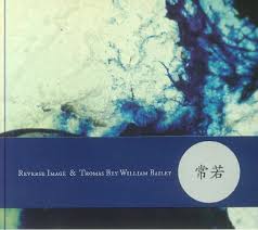 REVERSE IMAGE/THOMAS BEY WILLIAM BAILEY