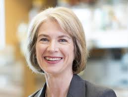 Jennifer Doudna gana el Premio Nobel de Química 2020