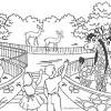 Zoo coloring pages for adult. 1