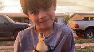 Fundraiser by Veronica Edge : Restore Happiness: Safe Shelter and Ducks for  a Boy