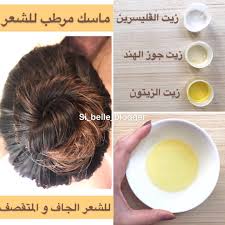 mely i dz beauty blogger on instagram ماسك مرطب و مغذي للشعر الجاف had el masque bezef hayel mes diy hair treatment beauty blogger grow hair faster
