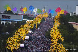 Resultado de imagen de arboles de nicaragua