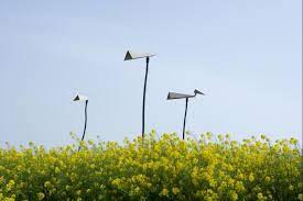 春色滿城關不住 好客山東 wind turbine turbine wind