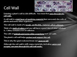 Check spelling or type a new query. Chapter 1 Section 2 Think About This Imagine