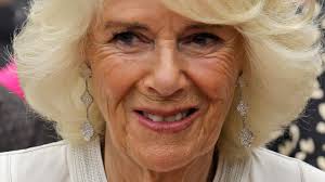 Inside William And Harry's Relationship With Camilla Parker Bowles