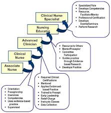 Registered nurse (rn) nursing career. Https Www Ijsciences Com Pub Pdf V4201506615 Pdf