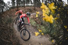 Cross country hardtails are designed for quick handling. Best Xc Race Bikes Hardtail And Full Suspension Mbr