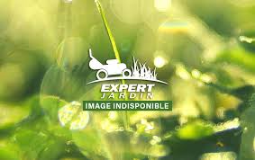 Stihl Expert Jardin