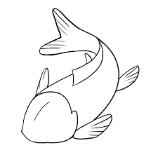 Follow this tutorial to learn how draw a koi like those often seen in tattoos. Koi Fish Easy To Draw Novocom Top