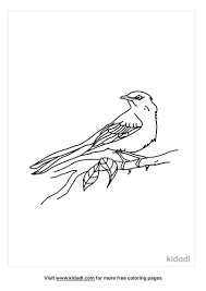 Critter sheets are fun ways to learn about florida's plants and animals. Florida State Bird Coloring Pages Free Birds Coloring Pages Kidadl