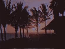 Aesthetic Beach Gif Aesthetic Beach Sunset Discover Share Gifs We hope you enjoy our growing collection of hd images to use as a background or home screen for your smartphone or computer. aesthetic beach gif aesthetic beach sunset discover share gifs