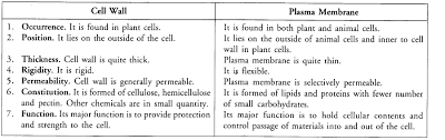 Difference between plant cell and animal cell for class 9 ncert. Ol1swihkilhvqm