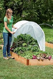 You Can Make A Mini Greenhouse Dome For About 6 How To Start A Winter Vegetable Garden The Che Winter Vegetables Gardening Floating Garden Winter Vegetables