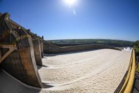 Image result for Eleocharis confervoides