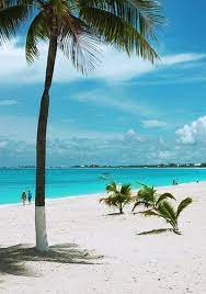 Seven Mile Beach Grand Cayman Beach Honeymoon Destinations Grand Cayman Island Beautiful Beaches