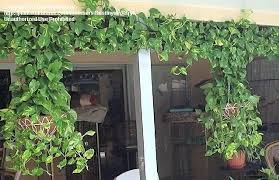 Pin On Inspiration For The Home