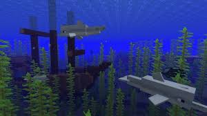 What Do Dolphins Eat In Minecraft? | Kodeclik Online Academy