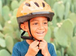 FY 2020-2021 Annual Report