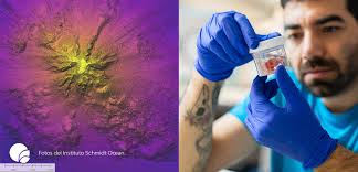 Descubren nuevo monte submarino y especies desconocidas