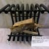 Choosing gas logs for your home is fairly simple, and many customers already have a fuel source in mind when they how long will vent free logs last? Https Encrypted Tbn0 Gstatic Com Images Q Tbn And9gct5se1cs4jcz7jeppaprosgihicezvcfpbv2uc 5kg Usqp Cau