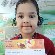 Schools in Bada Sarafa, Indore