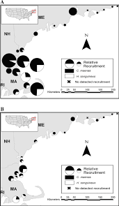 The Relative Recruitment Of Invasive Decapods To 20 Sites