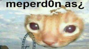 Me Perdonas Memes Divertidos Memes Memes Perrones