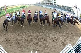 What i'm here to do is to continue a tradition here at for the win, and that's to rank the horses contending for the win at churchill downs based on their names. Kentucky Derby 2021 Trainers React To The Post Position Draw