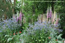 Pin On Garden