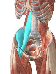 Pin On 05 Unlock Your Hip Flexors
