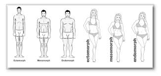 There are 3 main body types, each of which is affected and determined entirely by genetics: 3 Male Female Body Types Explained By Tee Major Medium