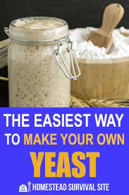 The Easiest Way To Make Your Own Yeast In 2021 Yeast Starter Yeast Fermentation Recipes