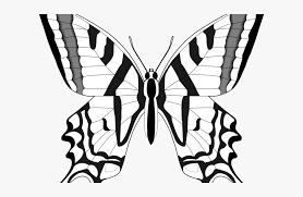 Butterfly outline 0 ideas about butterfly template on templates 2. Monarch Butterfly Clipart Outline Hd Png Download Kindpng