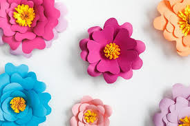 This backdrop is perfect for capturing moments you'll want to remember forever. Top View Of Colorful Paper Flowers On Grey Background Free Stock Photo And Image