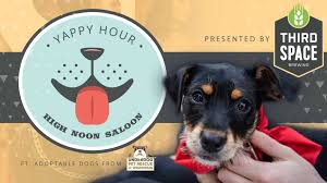 Leroy is very particular about the temperaments of his. Dog Adoption Events Madison Wi